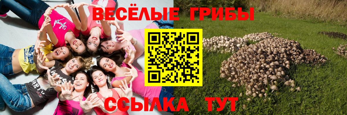 Псилоцибиновые грибы MAGIC MUSHROOMS Краснотурьинск