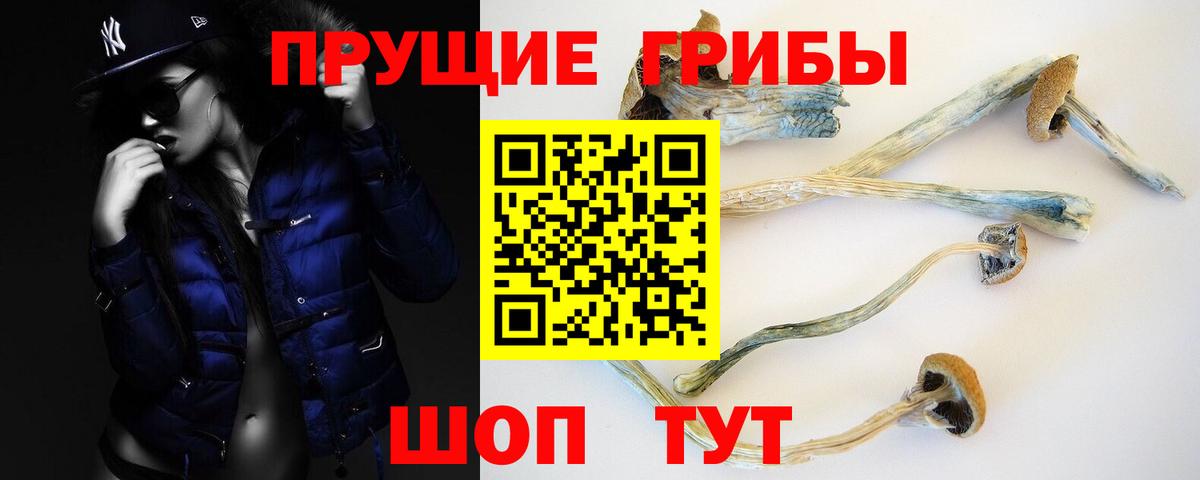 Краснотурьинск  где продают   Вход с VPN  Галлюциногенные грибы мухоморы  Галлюциногенные грибы мицелий 